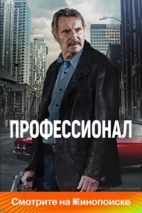 Професіонал