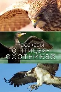 Розповіді про птахів-мисливців
