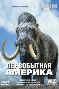 BBC: Первісна Америка