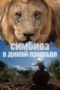 Симбіоз у дикій природі