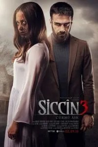 Сіджин 3