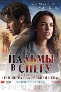 Пальми у снігу