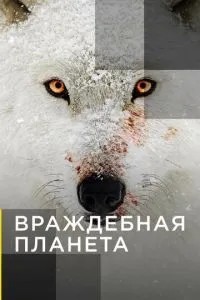 Ворожа планета