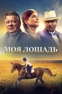 Мій кінь