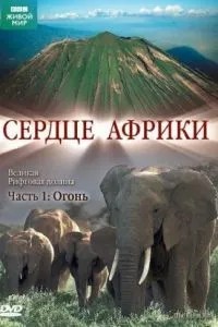 BBC: Серце Африки