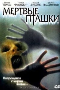 Мертві пташки