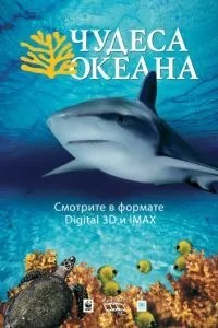 Чудеса океану 3D