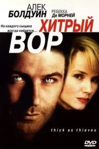 Хитрий злодій