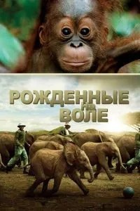 Народжені на волі