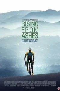 Rising from Ashes