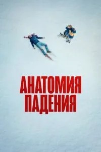 Анатомія падіння