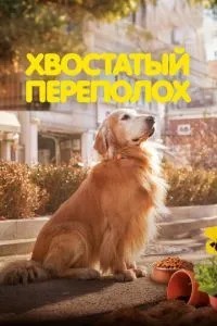 Хвостатий переполох