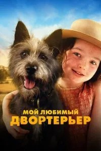 Мій улюблений двортер\'єр