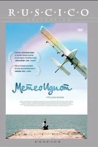 Метеоїдіот