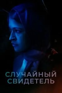 Випадковий свідок