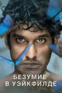 Безумство в Вейкфілді