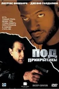 Під прикриттям