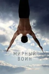 Мирний воїн