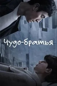 Чудо-брати