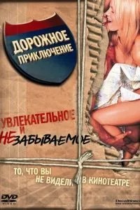 Дорожня пригода