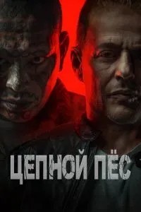 Ланцюговий пес