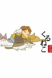 Котячі історії