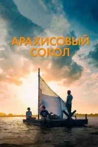 Арахісовий сокіл