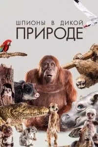 Шпигуни у дикій природі