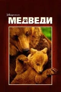 Ведмеді