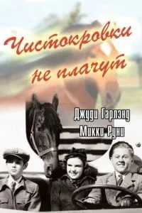 Чистокровки не плачуть