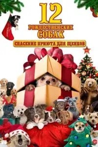 12 різдвяних собак: Порятунок притулку для цуценят