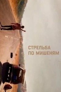 Стрілянина по мішенях