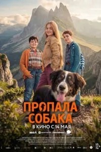 Пропав собака
