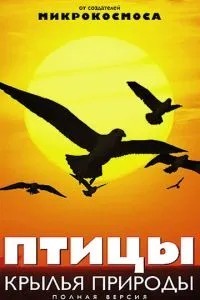 Птахи: Крила природи
