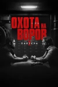 Полювання на злодіїв 2: Пантера