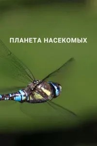 Планета комах