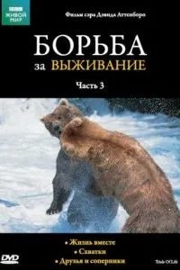 BBC: Боротьба за виживання