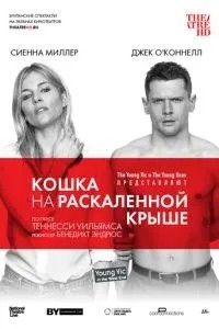 Кішка на розжареному даху
