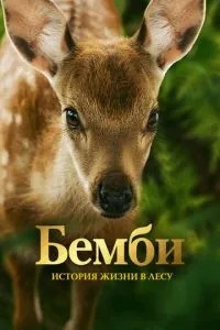 Бембі. Історія життя у лісі