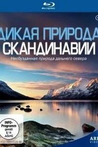 Дика природа Скандинавії