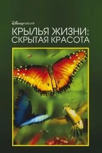 Крила життя: Прихована краса