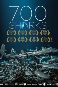 700 акул