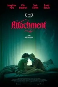 У ночі є очі