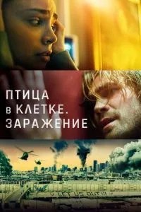 Птах у клітці. Зараження