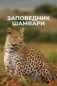 Заповідник Шамварі