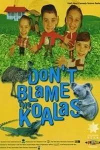 Коали не винні