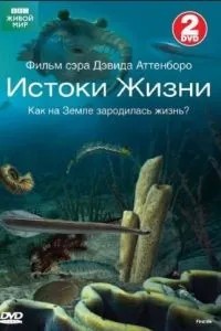 BBC: Витоки життя