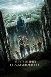 Той, що біжить в лабіринті
