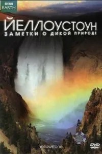 Йеллоустоун: Нотатки про дику природу