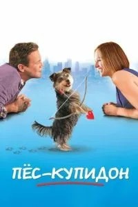 Пес-купідон